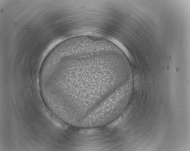 X0000070401051200606302006