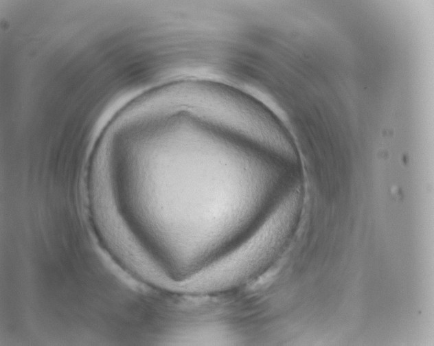 X0000070401056200606302006