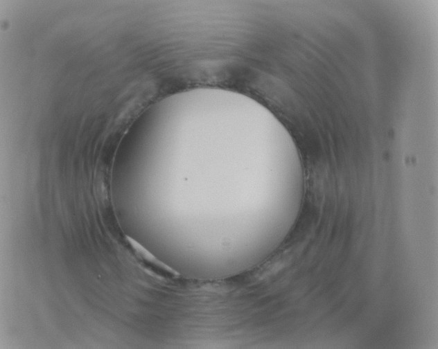 X0000070401058200606302006