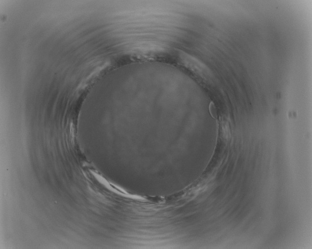 X0000070401060200606302005