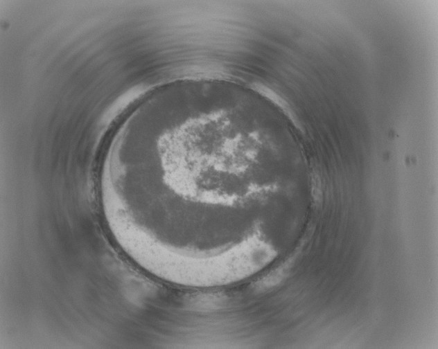 X0000070401074200606302005