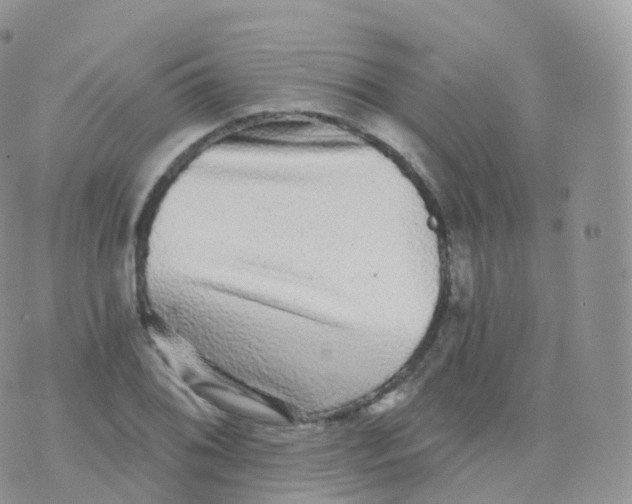 X0000070401076200606302005