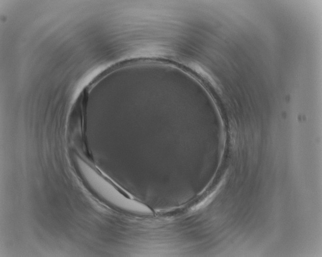 X0000070401077200606302005