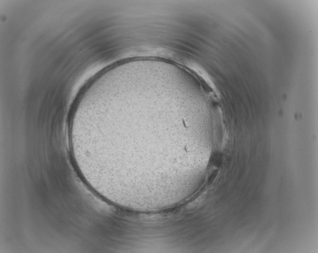 X0000070401080200606302005