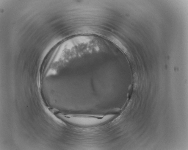 X0000070401084200606302005