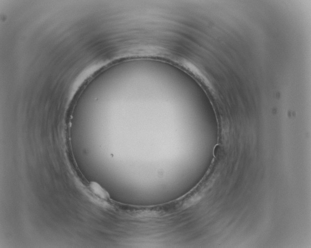 X0000070401085200606302005