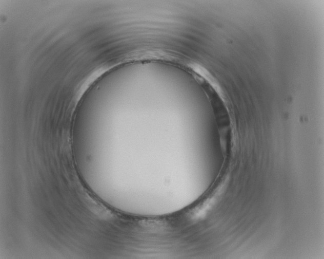 X0000070401089200606302005