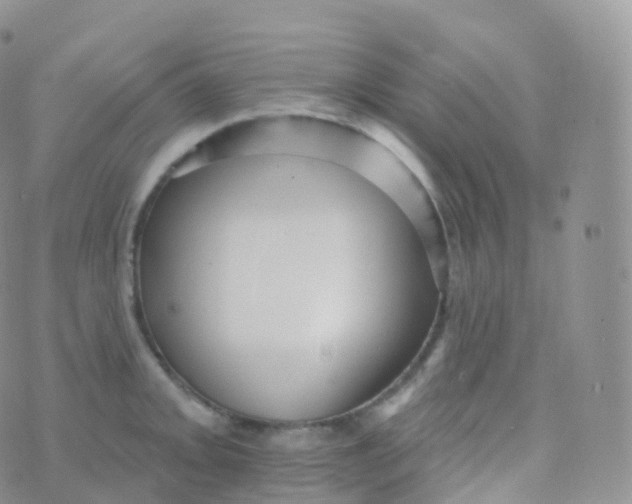 X0000070401093200606302005