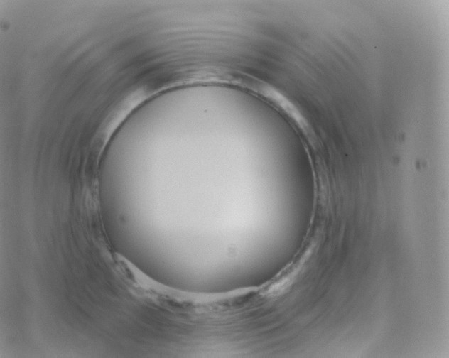 X0000070401097200606302005