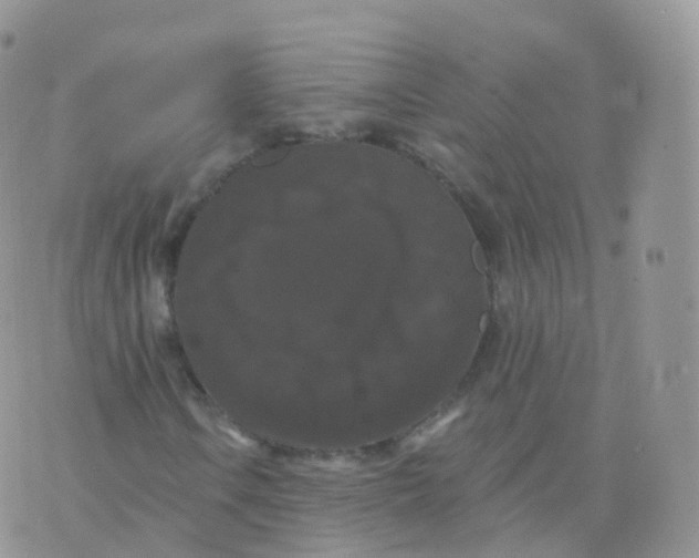 X0000070401106200606302004