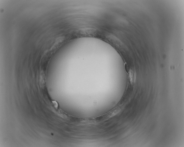 X0000070401107200606302004