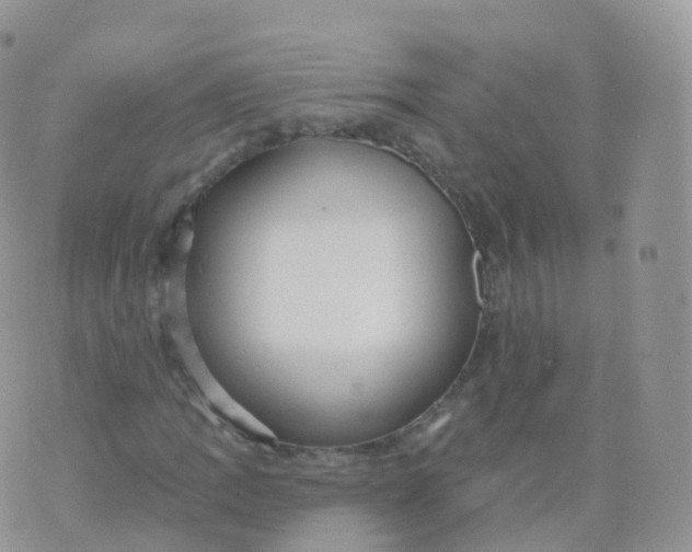 X0000070401109200606302004