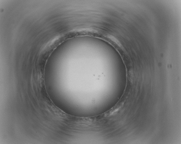 X0000070401111200606302004