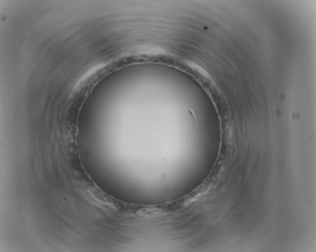 X0000070401112200606302004