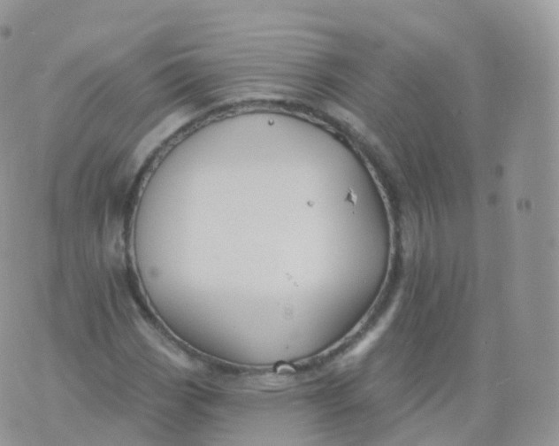 X0000070401113200606302004