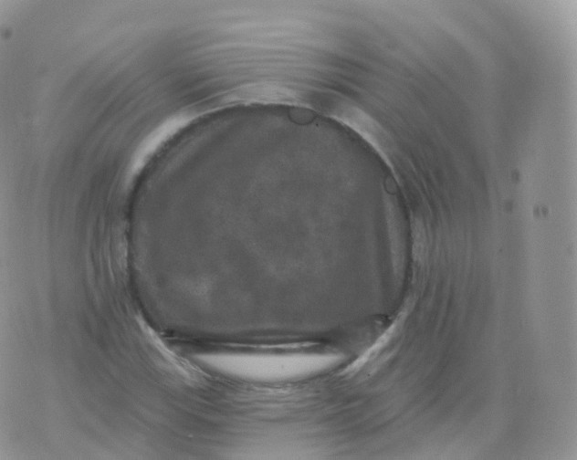 X0000070401115200606302004