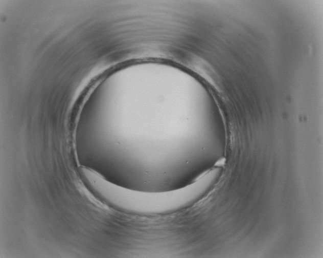 X0000070401116200606302004