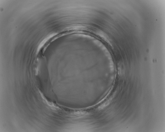 X0000070401117200606302004