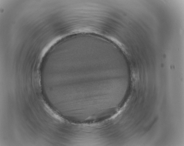 X0000070401118200606302004