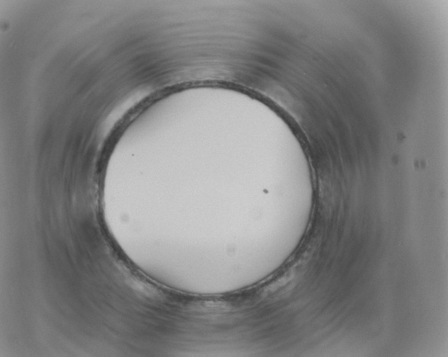 X0000070401119200606302004