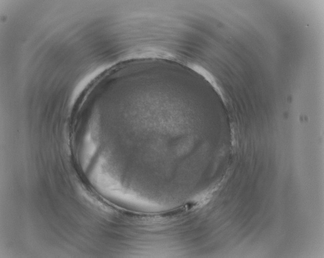 X0000070401120200606302004