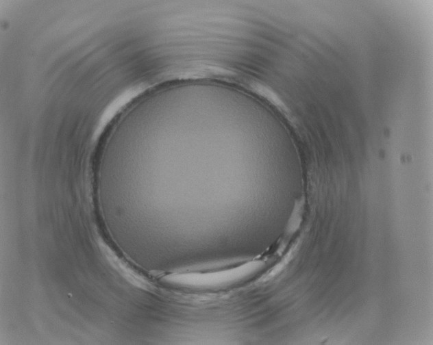 X0000070401122200606302004