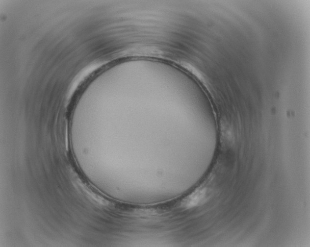 X0000070401123200606302004