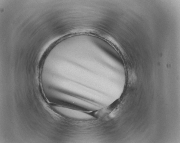 X0000070401124200606302004