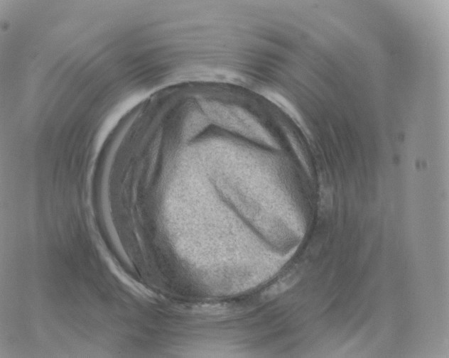 X0000070401128200606302004