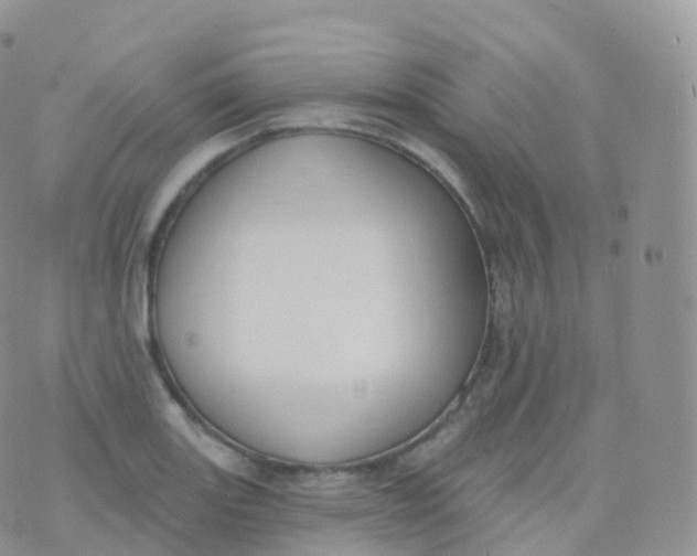 X0000070401131200606302004