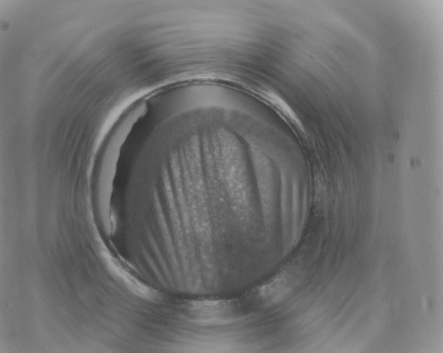 X0000070401132200606302004