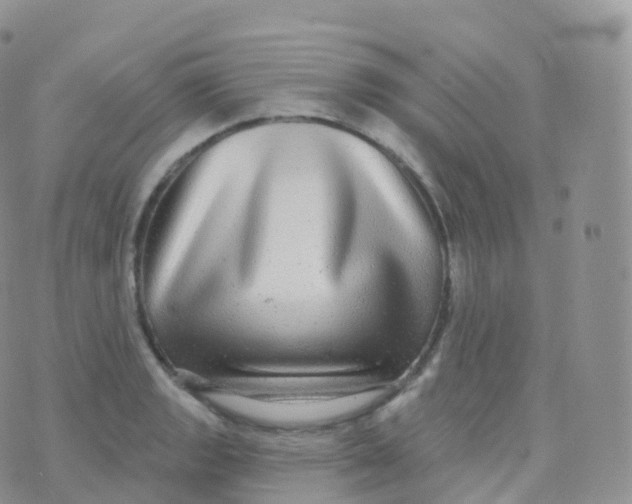 X0000070401133200606302004