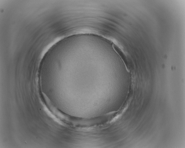 X0000070401134200606302004