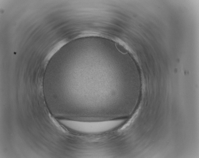 X0000070401137200606302005