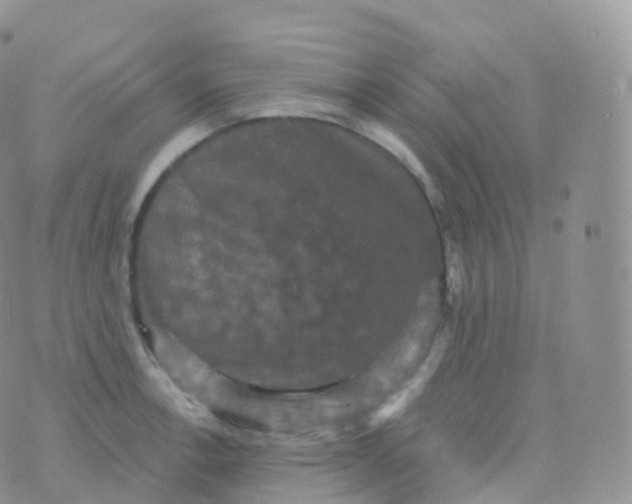 X0000070401138200606302005