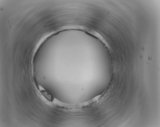 X0000070401140200606302005