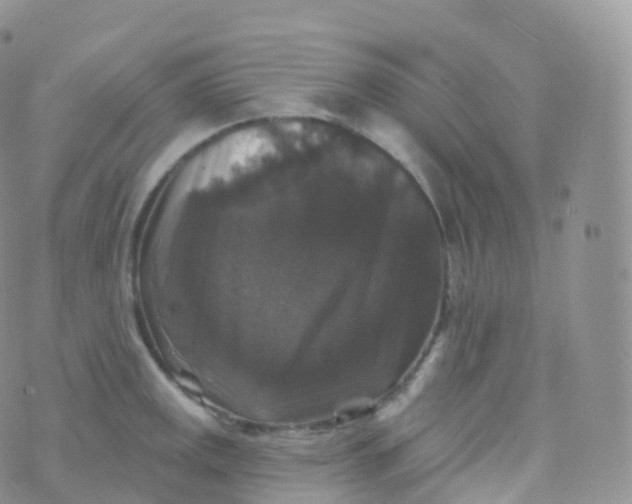 X0000070401141200606302005