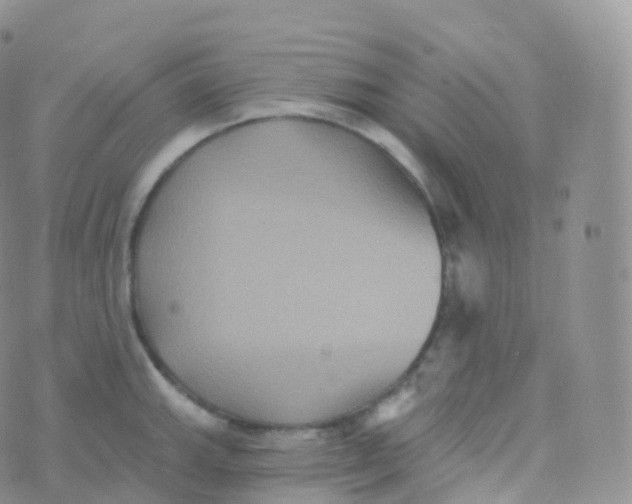 X0000070401143200606302005