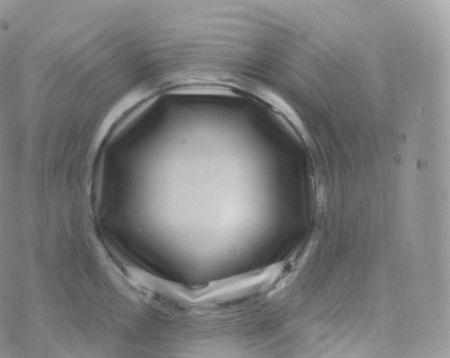 X0000070401146200606302005