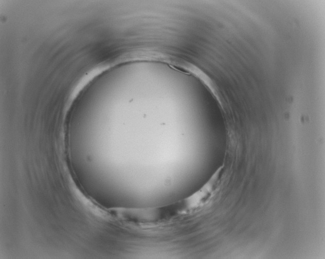 X0000070401147200606302005