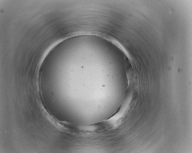 X0000070401148200606302005