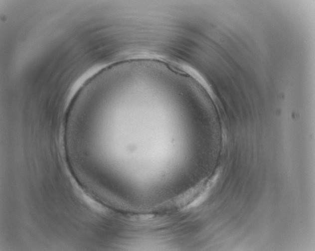 X0000070401149200606302005