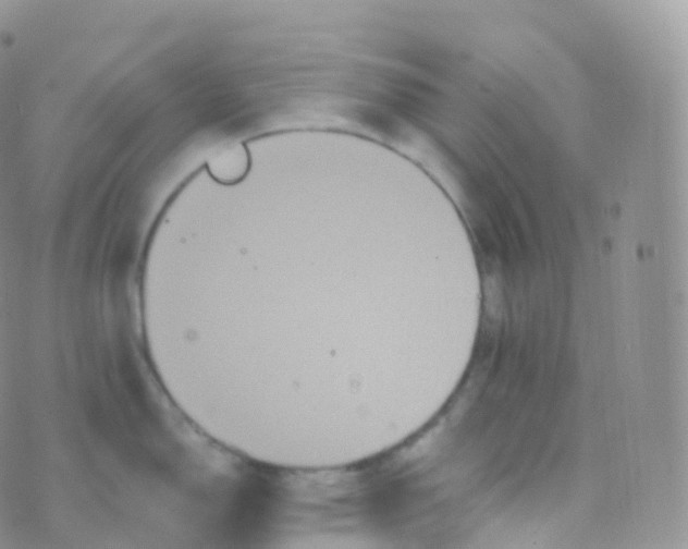 X0000070401150200606302005