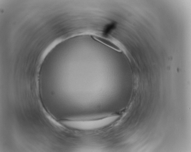 X0000070401151200606302005