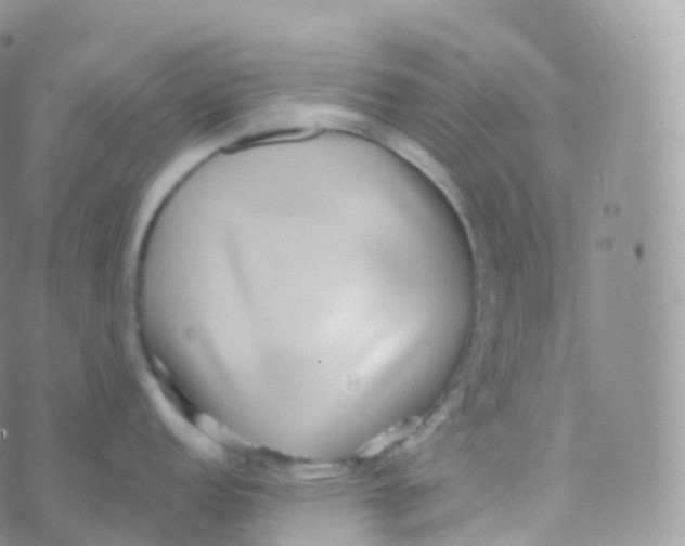 X0000070401152200606302005