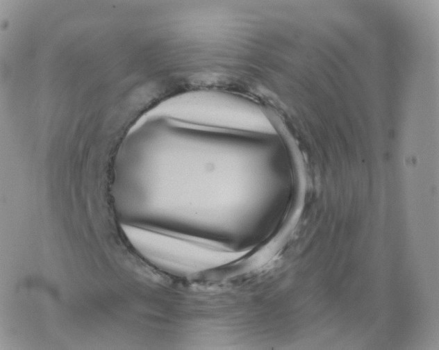 X0000070401153200606302004