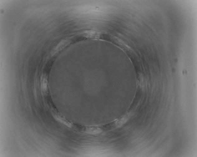 X0000070401154200606302004