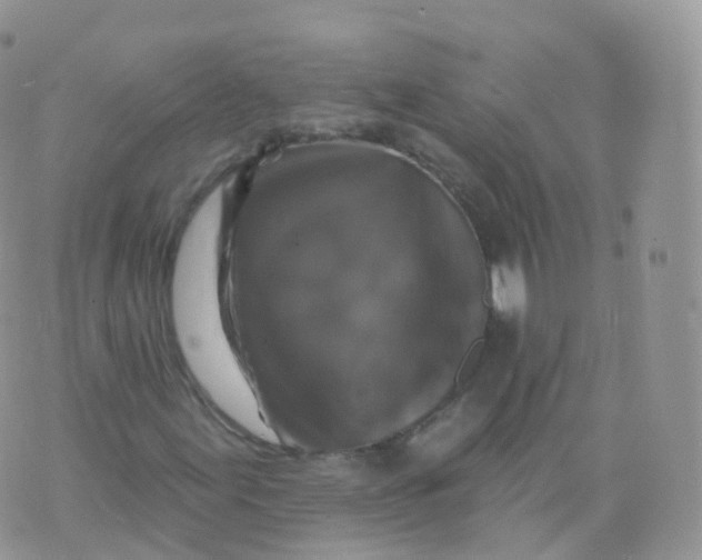 X0000070401155200606302004