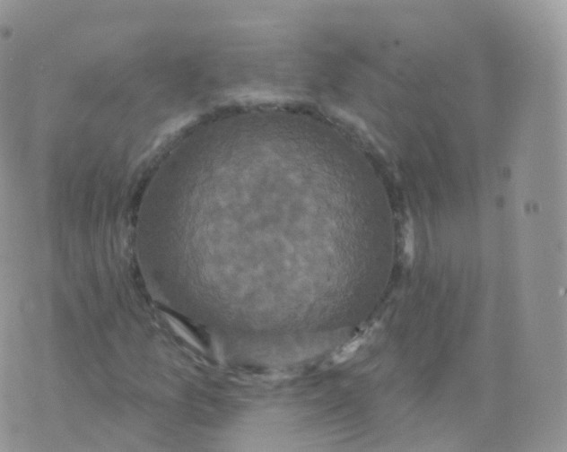 X0000070401157200606302004