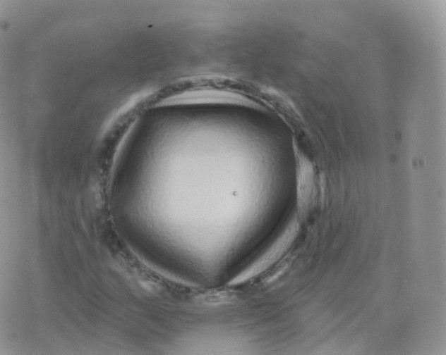 X0000070401159200606302004